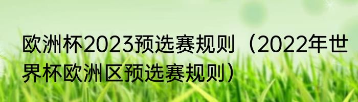 欧洲杯2023预选赛规则（2022年世界杯欧洲区预选赛规则）