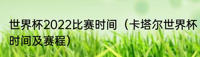 世界杯2022比赛时间（卡塔尔世界杯时间及赛程）