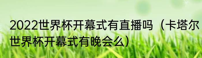 2022世界杯开幕式有直播吗（卡塔尔世界杯开幕式有晚会么）