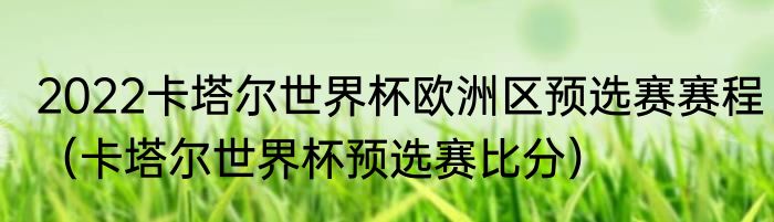 2022卡塔尔世界杯欧洲区预选赛赛程（卡塔尔世界杯预选赛比分）