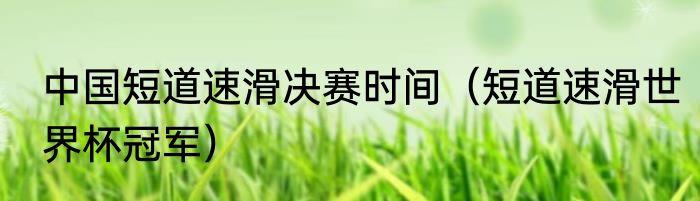 中国短道速滑决赛时间（短道速滑世界杯冠军）