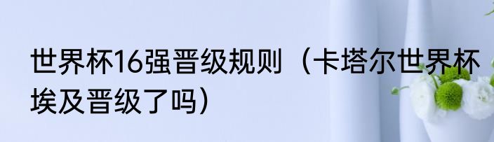 世界杯16强晋级规则（卡塔尔世界杯埃及晋级了吗）