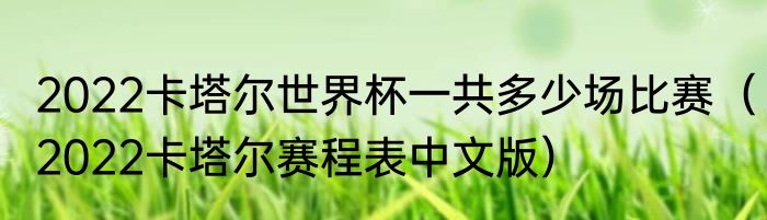 2022卡塔尔世界杯一共多少场比赛（2022卡塔尔赛程表中文版）