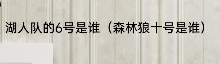 湖人队的6号是谁（森林狼十号是谁）