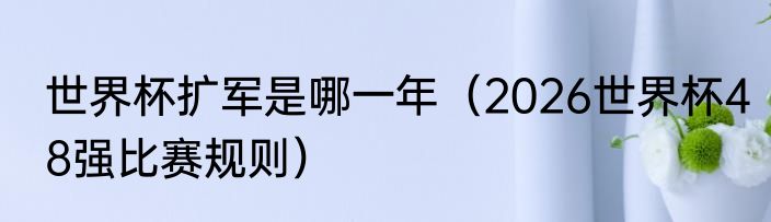 世界杯扩军是哪一年（2026世界杯48强比赛规则）