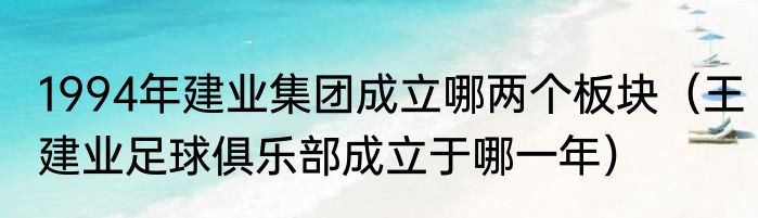 1994年建业集团成立哪两个板块（王建业足球俱乐部成立于哪一年）