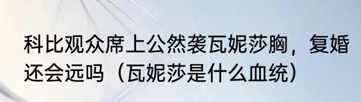 科比观众席上公然袭瓦妮莎胸，复婚还会远吗（瓦妮莎是什么血统）