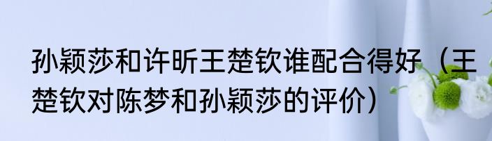 孙颖莎和许昕王楚钦谁配合得好（王楚钦对陈梦和孙颖莎的评价）