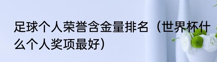 足球个人荣誉含金量排名（世界杯什么个人奖项最好）