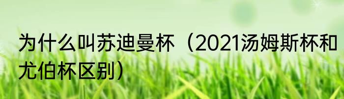 为什么叫苏迪曼杯（2021汤姆斯杯和尤伯杯区别）