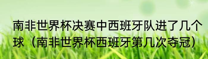 南非世界杯决赛中西班牙队进了几个球（南非世界杯西班牙第几次夺冠）