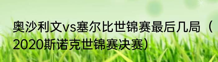 奥沙利文vs塞尔比世锦赛最后几局（2020斯诺克世锦赛决赛）