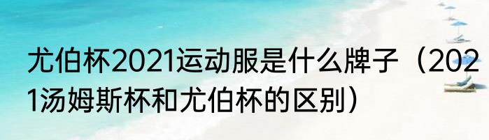 尤伯杯2021运动服是什么牌子（2021汤姆斯杯和尤伯杯的区别）
