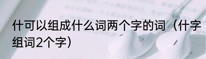 什可以组成什么词两个字的词（什字组词2个字）