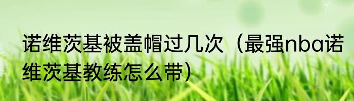 诺维茨基被盖帽过几次（最强nba诺维茨基教练怎么带）