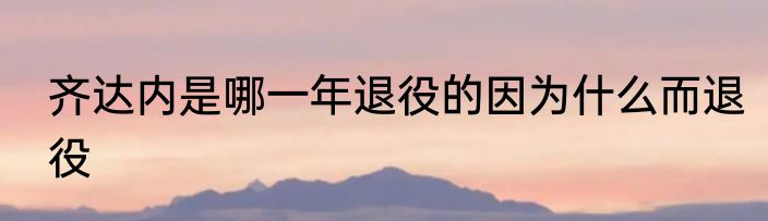 齐达内是哪一年退役的因为什么而退役