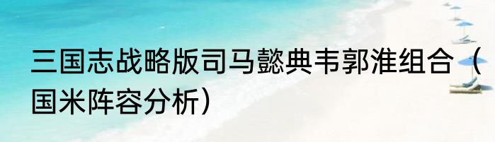 三国志战略版司马懿典韦郭淮组合（国米阵容分析）