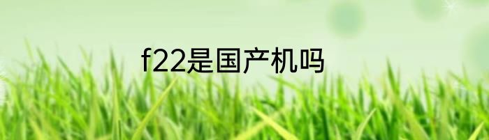 f22是国产机吗