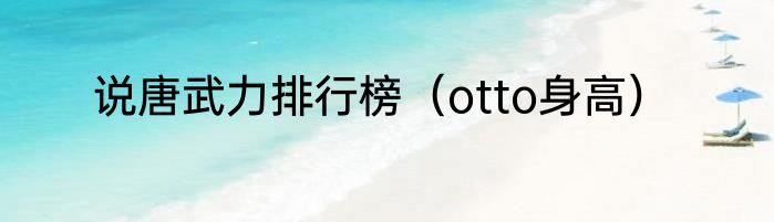 说唐武力排行榜（otto身高）
