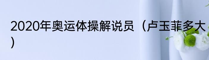 2020年奥运体操解说员（卢玉菲多大）