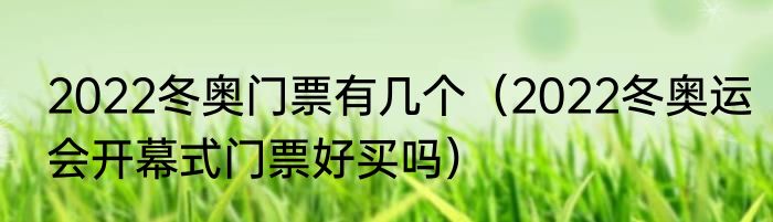 2022冬奥门票有几个（2022冬奥运会开幕式门票好买吗）