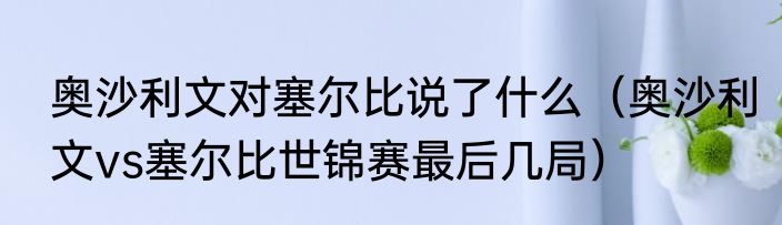 奥沙利文对塞尔比说了什么（奥沙利文vs塞尔比世锦赛最后几局）