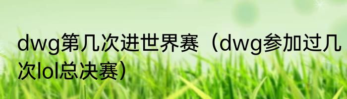 dwg第几次进世界赛（dwg参加过几次lol总决赛）