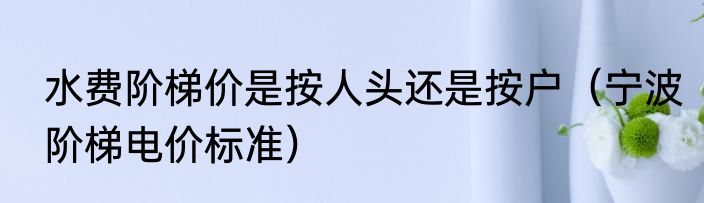 水费阶梯价是按人头还是按户（宁波阶梯电价标准）
