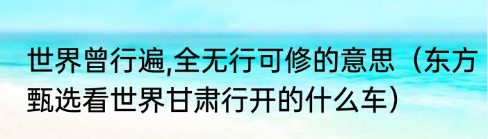 世界曾行遍,全无行可修的意思（东方甄选看世界甘肃行开的什么车）