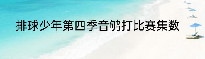 排球少年第四季音鸲打比赛集数