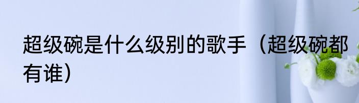 超级碗是什么级别的歌手（超级碗都有谁）
