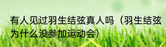 有人见过羽生结弦真人吗（羽生结弦为什么没参加运动会）