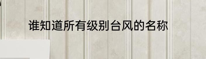 谁知道所有级别台风的名称