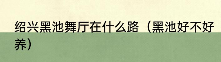 绍兴黑池舞厅在什么路（黑池好不好养）