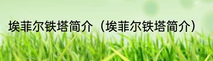 埃菲尔铁塔简介（埃菲尔铁塔简介）