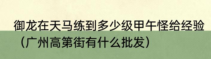御龙在天马练到多少级甲午怪给经验（广州高第街有什么批发）