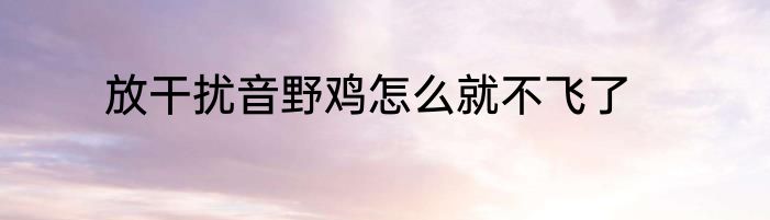放干扰音野鸡怎么就不飞了