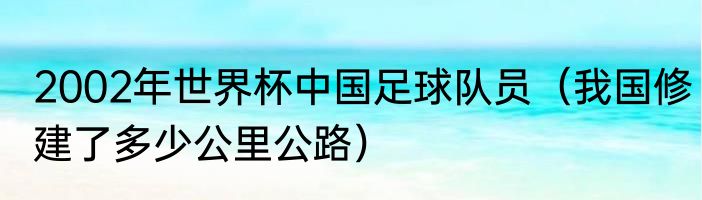 2002年世界杯中国足球队员（我国修建了多少公里公路）