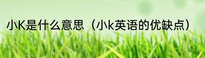 小K是什么意思（小k英语的优缺点）