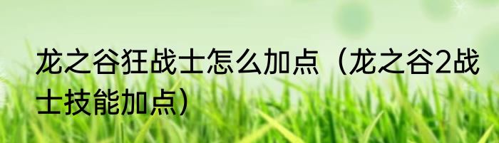 龙之谷狂战士怎么加点（龙之谷2战士技能加点）