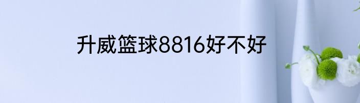 升威篮球8816好不好