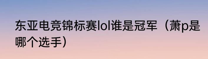 东亚电竞锦标赛lol谁是冠军（萧p是哪个选手）