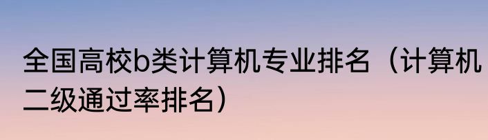 全国高校b类计算机专业排名（计算机二级通过率排名）