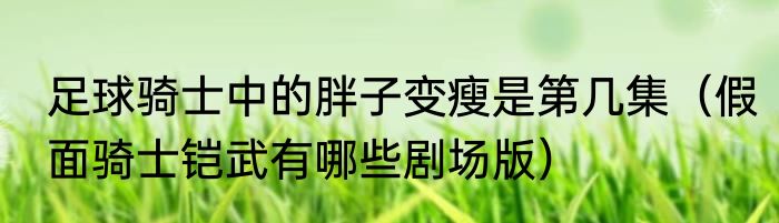 足球骑士中的胖子变瘦是第几集（假面骑士铠武有哪些剧场版）
