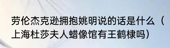 劳伦杰克逊拥抱姚明说的话是什么（上海杜莎夫人蜡像馆有王鹤棣吗）