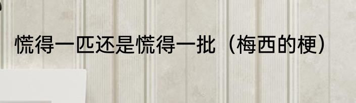 慌得一匹还是慌得一批（梅西的梗）