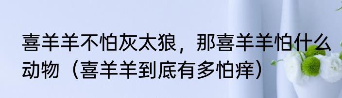 喜羊羊不怕灰太狼，那喜羊羊怕什么动物（喜羊羊到底有多怕痒）