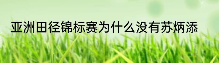 亚洲田径锦标赛为什么没有苏炳添
