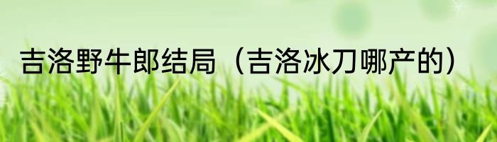 吉洛野牛郎结局（吉洛冰刀哪产的）