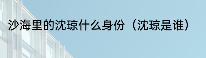 沙海里的沈琼什么身份(沈琼是谁)